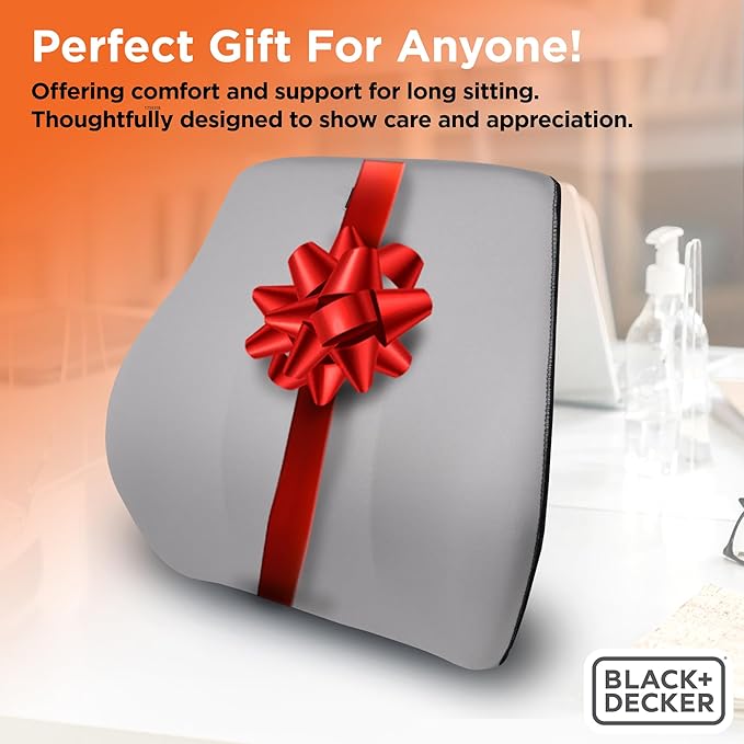 BLACK+DECKER Memory Foam Lumbar Support Pillow, Lumbar Cushion for Office, Car, Wheelchair & Airplane – Adjustable Strap, Full Back Pain Relief, Washable Cover, Grey/Blue