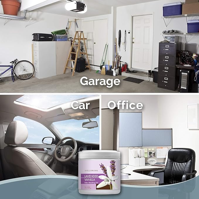 SMELLS BEGONE 15oz Gel Odor Eliminator - Absorb & Remove Tough Odors in Pet Areas, Bathrooms, Basements, Garage, Cars, RVs & Boats - Eliminate Odors Quickly (6-Pack, Lavender Vanilla)