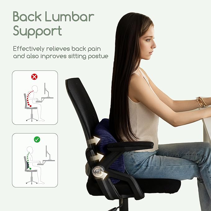 HIGOGOGO Lumbar Support Pillow for Recliner Chair/Accent Chair/Couch, Memory Foam Back Support Cushion for Elderly, Recliner Cushions for Back Rest, Pain Relief, Reading, Washable Cover, Navy