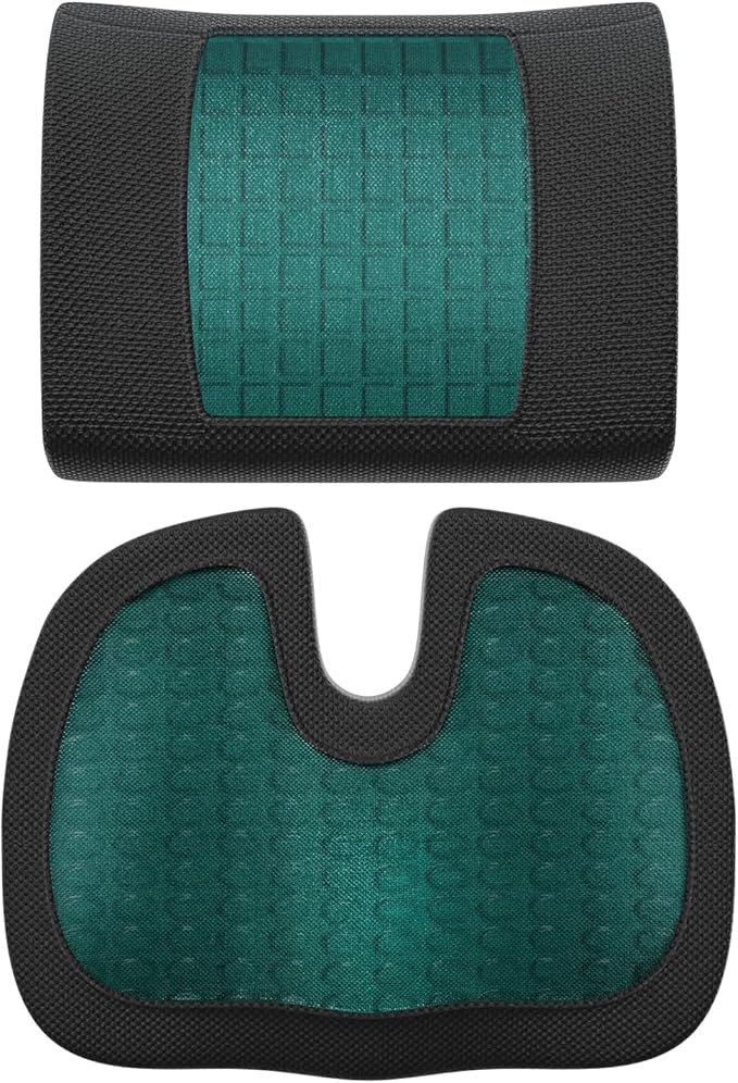 Amazon Basics Comfortable Seat Cushion & Lumbar Support for Office Chairs, Gel Enhanced Memory Foam, Pack of 2, Rectangular, Black