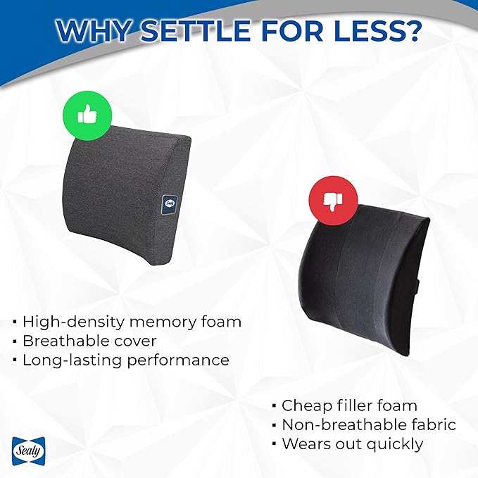 Sealy Memory Foam Lumbar Support Pillow – Ergonomic Back Cushion for Office Chairs and Car Seats, Premium Lower Back Pain Relief and Multi-Purpose Comfort (Gray)