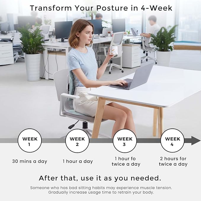ZZWS Foldable Ergonomic Back Support with Adjustable Inflatable Lumbar Cushion, Posture Corrector for Desk Chairs, Comfortable Lumbar & Seat Cushion for Lower Back Pain Relief