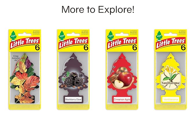Little Trees Car Air Freshener | Hanging Tree Provides Long Lasting Scent for Auto and Home | Warm Pumpkin Spice, 24 Air Fresheners