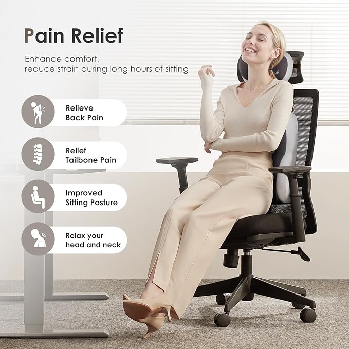 FLORICH Lumbar Support with Car headrest Back Pillow for Chairs Headrest Pillow for Car Ergonomic Ultrathick Memory Foam Back Pillow for Office Chair (Beige Grey)