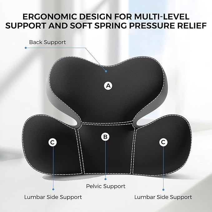 BEBAS Lumbar Support Pillow for Car, Ergonomic Memory Foam Back Cushion for Driving, Lower Back Support for Pain Relief, Lumbar Cushion for Car Seats, Office Chairs, Wheelchairs - Blackgray