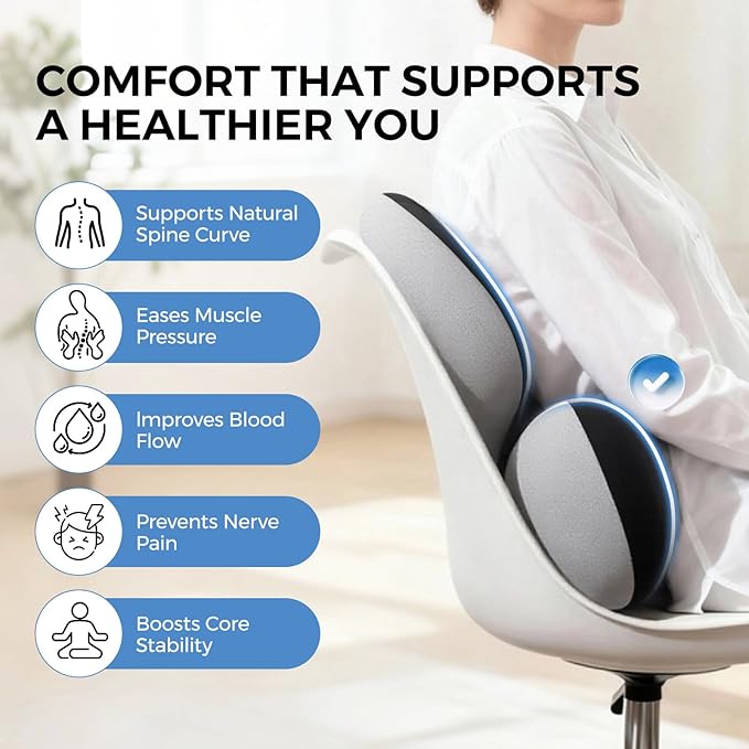 BEBAS Lumbar Support Pillow for Car, Ergonomic Memory Foam Back Cushion for Driving, Lower Back Support for Pain Relief, Lumbar Cushion for Car Seats, Office Chairs, Wheelchairs - Blackgray