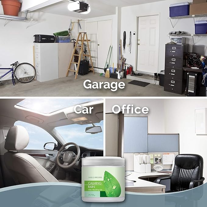 SMELLS BEGONE 15oz Gel Odor Eliminator - Absorb & Remove Tough Odors in Pet Areas, Bathrooms, Basements, Garage, Cars, RVs & Boats - Eliminate Odors Quickly (6-Pack, Calming Rain)