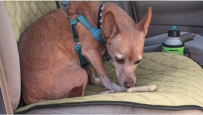 FH Group Car Seat Cushion – Neosupreme Single Front Seat Cover with Front Pockets, Airbag Compatible, Universal Fit Car Seat Cushion for Driver or Passenger Seat, SUV, Truck, Sedan & Van – Beige