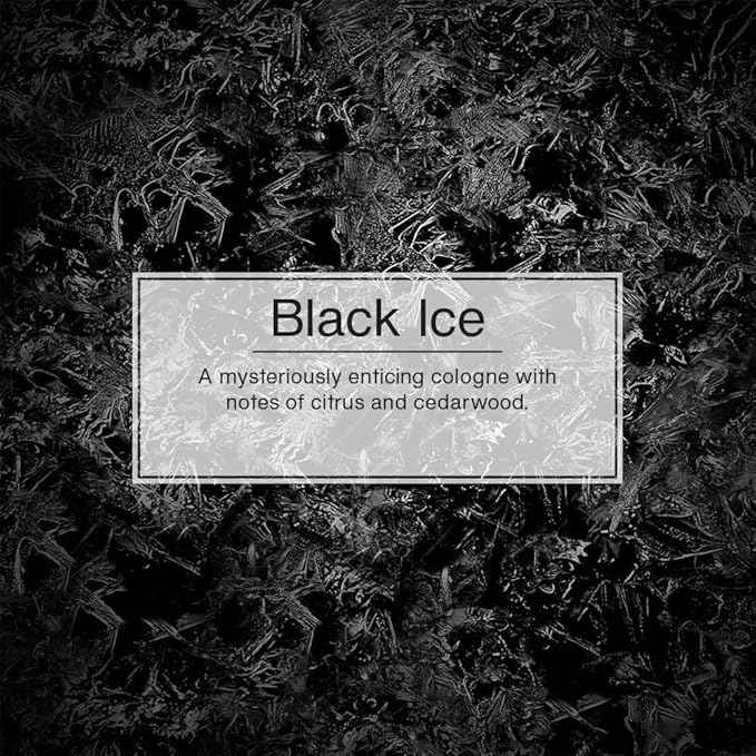 LITTLE TREES Car Air Freshener | Fiber Can Provides Long Lasting Scent for Auto or Home | Recycled Fiber | Black Ice, 4 Air Fresheners