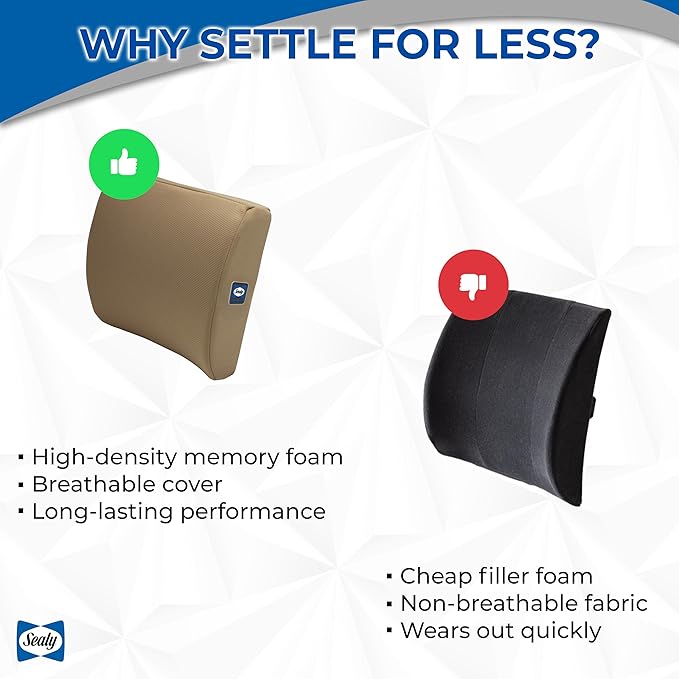 Sealy Memory Foam Lumbar Support Pillow – Ergonomic Back Cushion for Office Chairs and Car Seats, Premium Lower Back Pain Relief and Multi-Purpose Comfort (Brown)