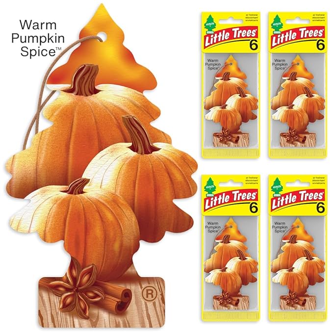 Little Trees Car Air Freshener | Hanging Tree Provides Long Lasting Scent for Auto and Home | Warm Pumpkin Spice, 24 Air Fresheners