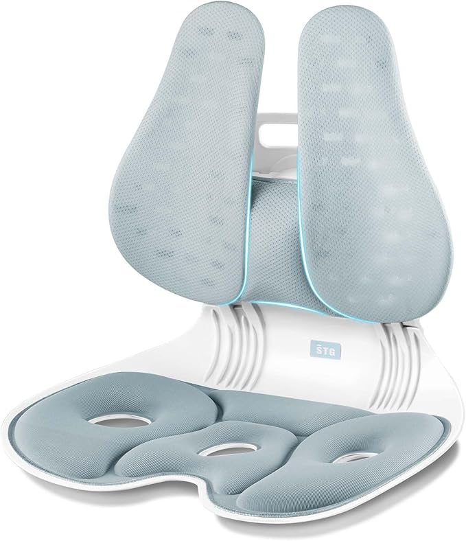 ZZWS Foldable Ergonomic Back and Lumbar Support with Adjustable Inflatable Lumbar Cushion for Good Posture Correction and Back Pain Relief, Perfect for Office, Floor Seat and Work from Home