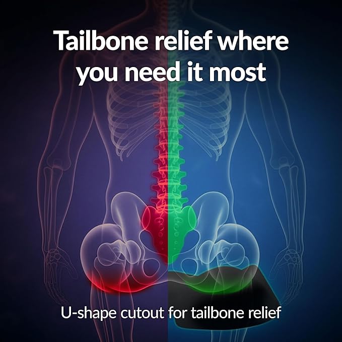 Everlasting Comfort Doctor Recommended Memory Foam Seat Cushion for Office Chairs & Car - Ergonomic Office Desk Accessories - Cushions for Tailbone Pain Relief,Sciatica (Premium Charcoal Black, Large)