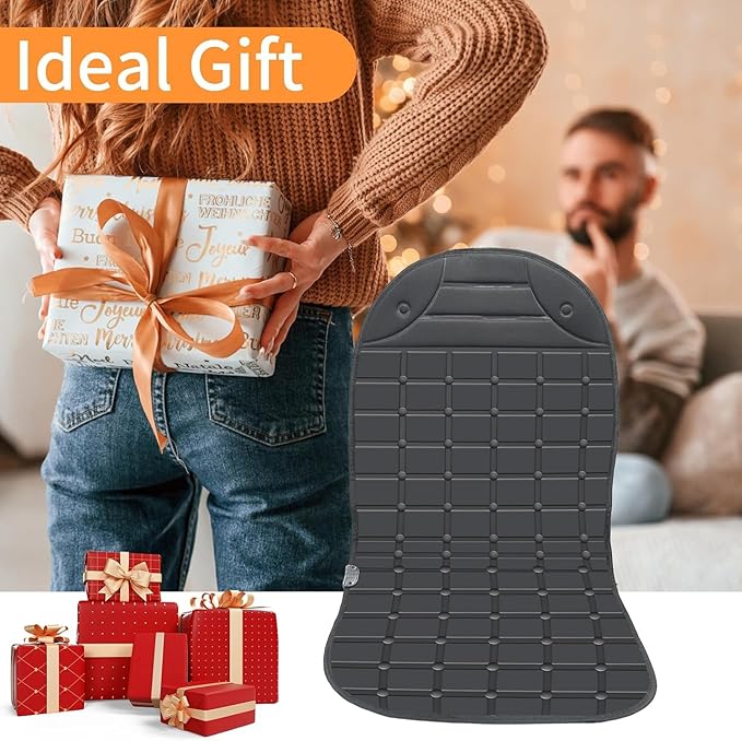 ILLUMINEW Seat Cushion Winter Cover for Full Back and Seat for Family (Black)