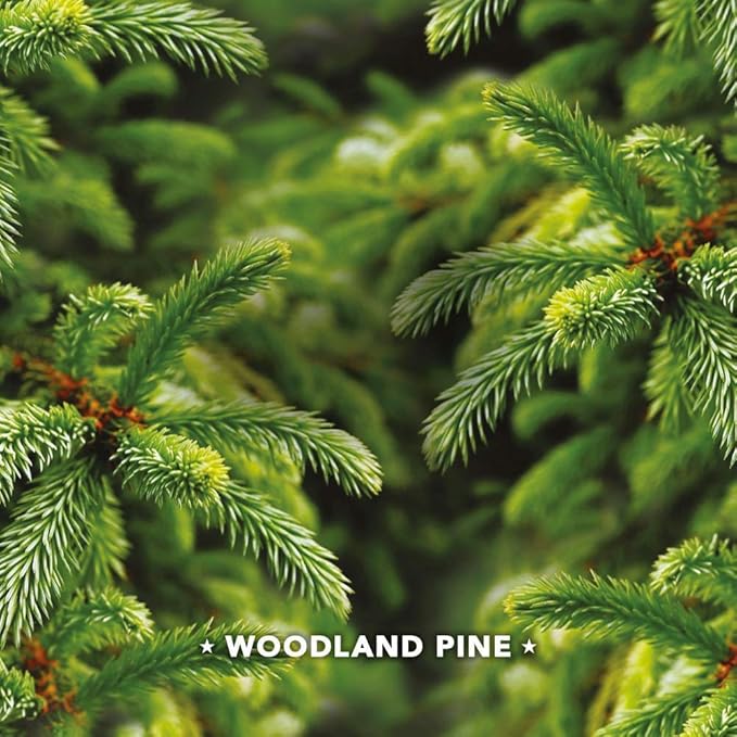 Febreze Car Vent Clip Air Freshener - Fresh-Cut Pine - Holiday Collection 2017 - Net Wt. 0.06 FL OZ (2 mL) Per Vent Clip - Pack of 2 Vent Clips