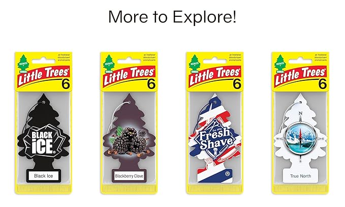 LITTLE TREES Car Air Freshener | Hanging Tree Provides Long Lasting Scent for Auto and Home | Leather, 24 Air Fresheners