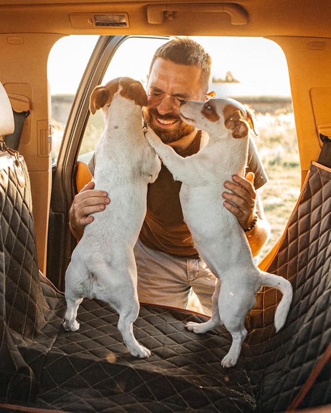 Owleys Back Seat Extender for Dogs Premium Dog Hammock for Car | Pet Cover for Dogs | Dog Covers for Cars Back Seat | (Black Standart)