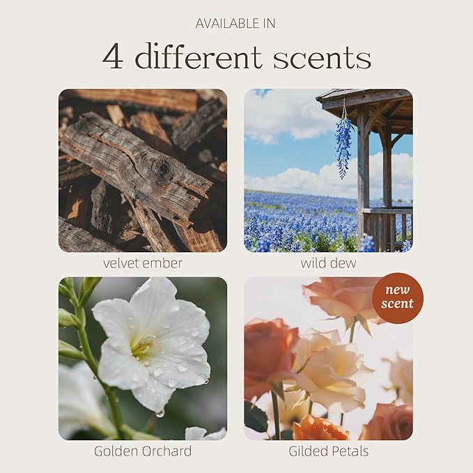 Wood Car Air Freshener — Refillable Solid Odor Eliminator with Premium Leather Visor Clip, North American Alder Wood Scent, No Liquid, No Mess for Car, Truck & SUV (Gilded Petals)