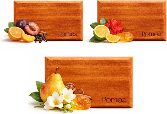 Car Air Freshener Wood 3 Pack — Refillable Solid Diffuser, North American Alder Scent, Leather Visor Clips — No Liquid Odor Eliminator for Cars, Trucks, SUVs