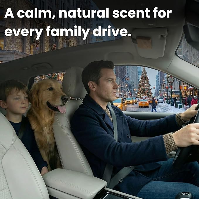 Car Air Freshener Wood 3 Pack — Refillable Solid Diffuser, North American Alder Scent, Leather Visor Clips — No Liquid Odor Eliminator for Cars, Trucks, SUVs