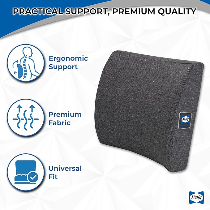 Sealy Memory Foam Lumbar Support Pillow – Ergonomic Back Cushion for Office Chairs and Car Seats, Premium Lower Back Pain Relief and Multi-Purpose Comfort (Gray)