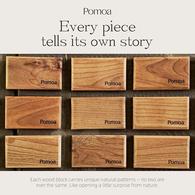 Car Air Freshener with Premium Leather Visor Clip, North American Alder Wood Scent Diffuser, Refillable Solid Wood Odor Eliminator for Vehicle Cabin, Truck & SUV, No Liquid, No Mess (Night Leather)