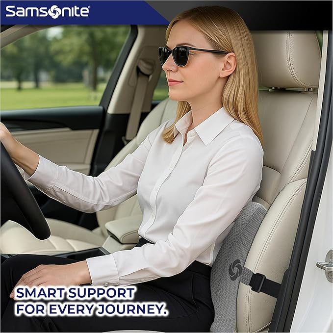 Samsonite Ergonomic Lumbar Pillow for Office Chair and Car Seat - Memory Foam Back Support Lumbar Pillow, Premium Cushion Chair Support for Lower Back Pain Relief and Versatile Use (Light Grey)