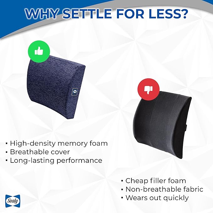 Sealy Memory Foam Lumbar Support Pillow – Ergonomic Back Cushion for Office Chairs and Car Seats, Premium Lower Back Pain Relief and Multi-Purpose Comfort (Blue)