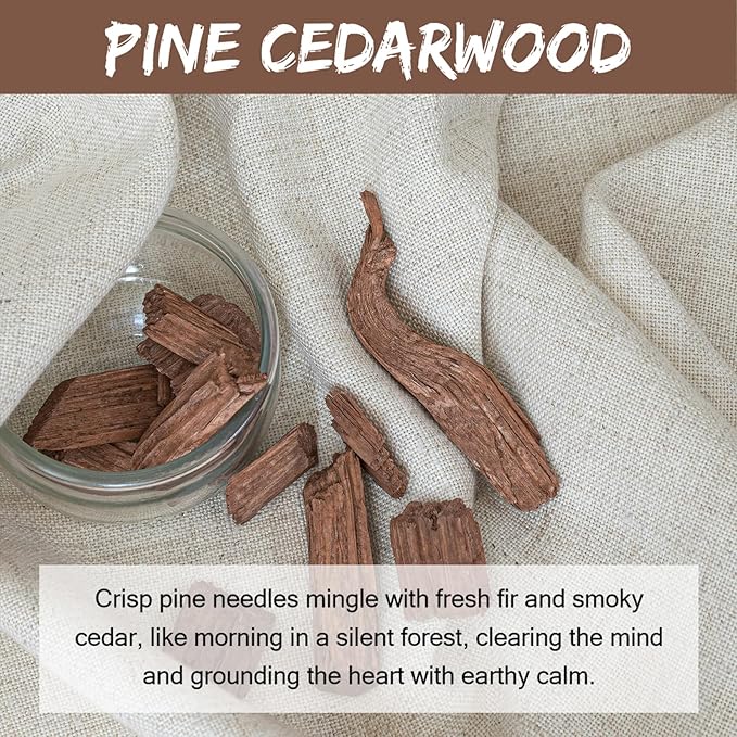 MUBYOK 1.5LB Pine Cedarwood Premium Scented Aroma Beads for Making Car Freshies Supplies PreScented Beads for Car Air Freshener Sachets Long-Lasing Scent