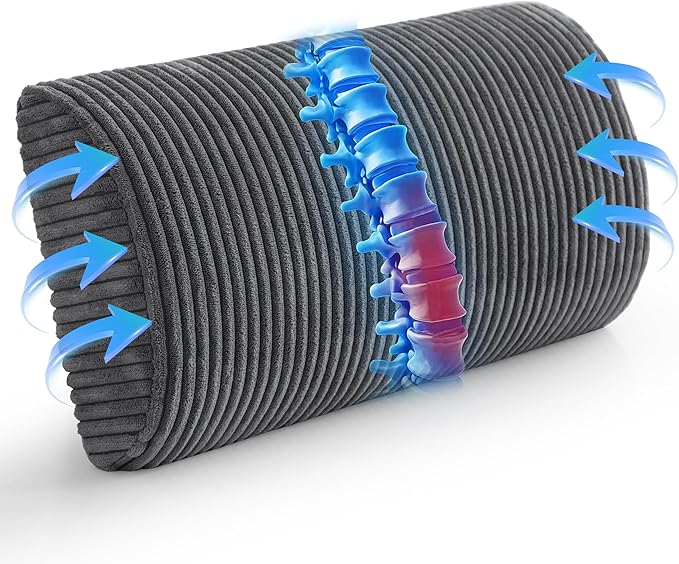 HIGOGOGO Lumbar Support Pillow for Recliner Chair/Accent Chair/Couch, Memory Foam Back Support Cushion for Elderly, Recliner Cushions for Back Rest, Pain Relief, Reading, Washable Cover, Dark Grey