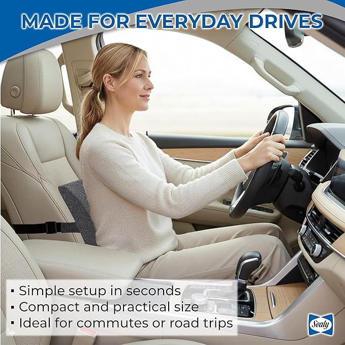 Sealy Memory Foam Lumbar Support Pillow – Ergonomic Back Cushion for Office Chairs and Car Seats, Premium Lower Back Pain Relief and Multi-Purpose Comfort (Gray)