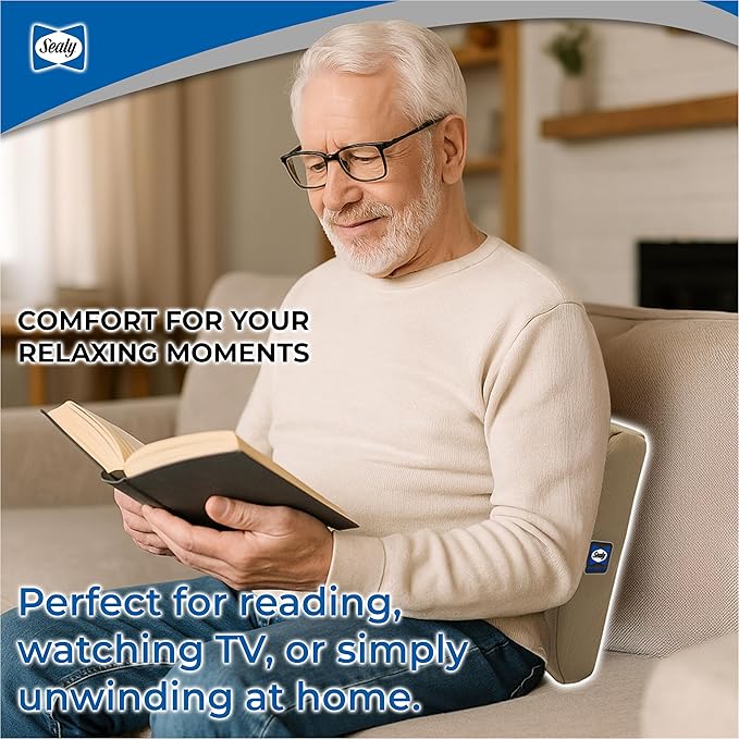 Sealy Memory Foam Lumbar Support Pillow – Ergonomic Back Cushion for Office Chairs and Car Seats, Premium Lower Back Pain Relief and Multi-Purpose Comfort (Brown)