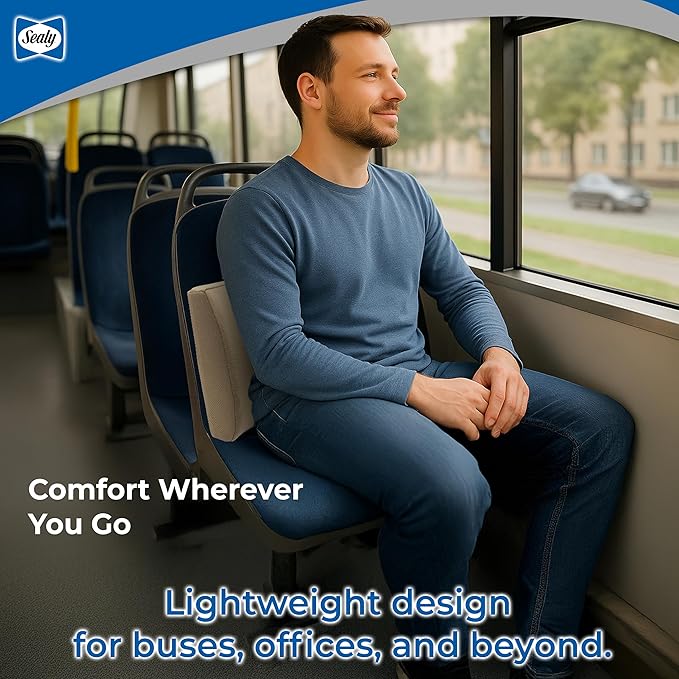 Sealy Memory Foam Lumbar Support Pillow – Ergonomic Back Cushion for Office Chairs and Car Seats, Premium Lower Back Pain Relief and Multi-Purpose Comfort (Brown)