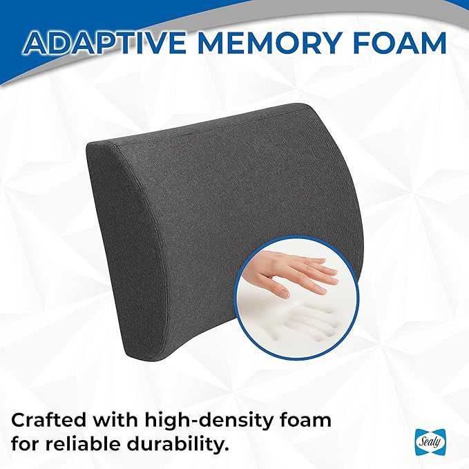 Sealy Memory Foam Lumbar Support Pillow – Ergonomic Back Cushion for Office Chairs and Car Seats, Premium Lower Back Pain Relief and Multi-Purpose Comfort (Gray)