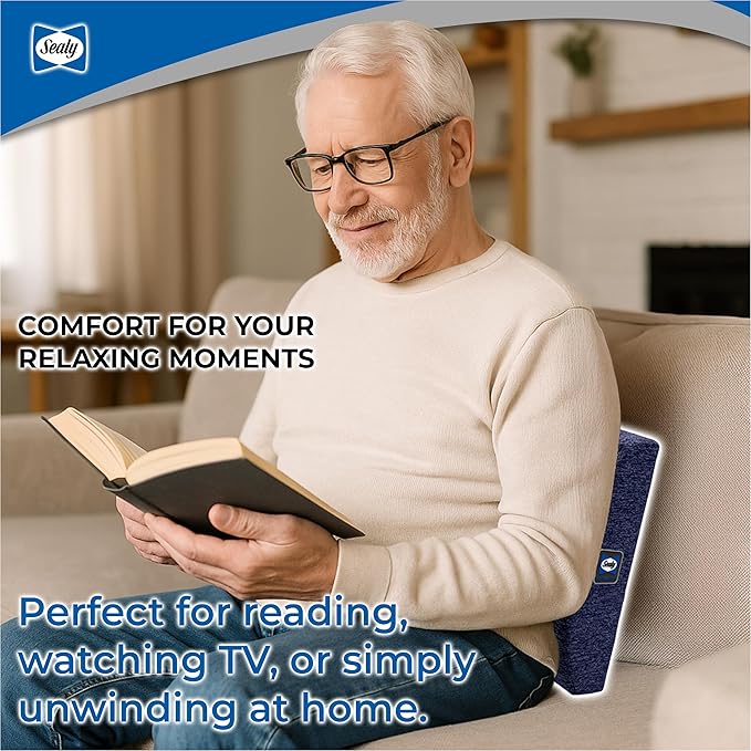 Sealy Memory Foam Lumbar Support Pillow – Ergonomic Back Cushion for Office Chairs and Car Seats, Premium Lower Back Pain Relief and Multi-Purpose Comfort (Blue)