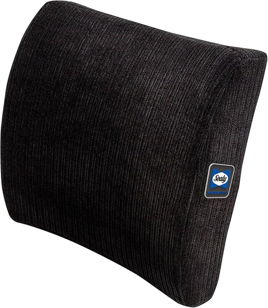 Sealy Memory Foam Lumbar Support Pillow – Ergonomic Back Cushion for Office Chairs and Car Seats, Premium Lower Back Pain Relief and Multi-Purpose Comfort (Black)
