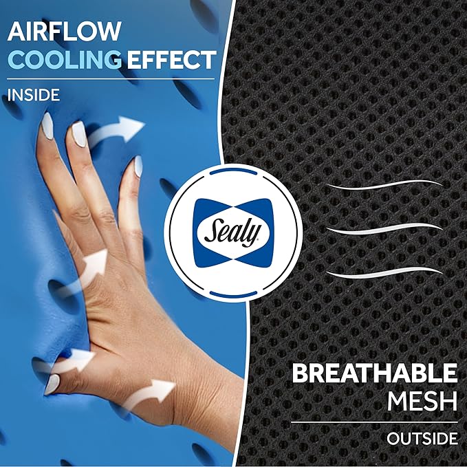 Sealy Ergonomic Car Neck Cushion – Memory Foam Neck Pillow for Car or Office Chair, Travel Neck Pillow,