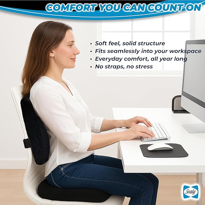 Sealy Memory Foam Car 2-Pack Seat Cushions – Ergonomic Cushions for Tailbone Pain Relief, Ideal for Office Chairs, Car Seats and Gaming Chairs, Premium Cushions Offering Superior Comfort and Support