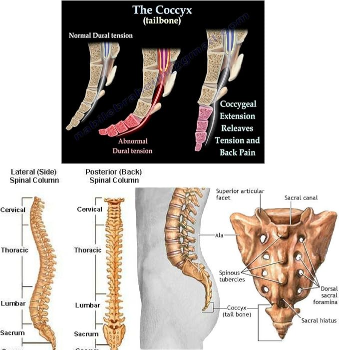 FOMI Extra Thick Water Resistant Seat Cushion (18" x 16" x 3.5") | Orthopedic Memory Foam | Incontinence and Spill Protection | Large Pillow for Car or Truck Seat, Office Chair, Wheelchair