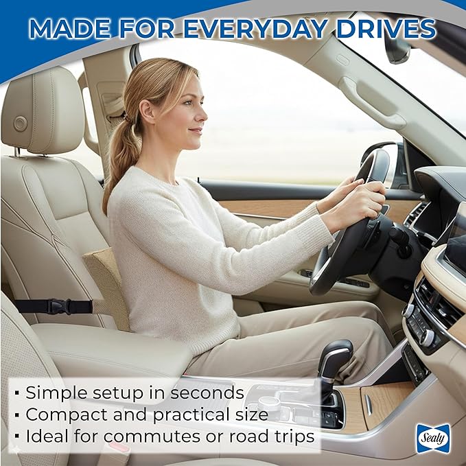 Sealy Memory Foam Lumbar Support Pillow – Ergonomic Back Cushion for Office Chairs and Car Seats, Premium Lower Back Pain Relief and Multi-Purpose Comfort (Brown)