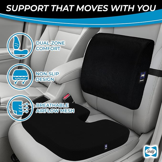 Sealy Memory Foam Car 2-Pack Seat Cushions – Ergonomic Cushions for Tailbone Pain Relief, Ideal for Office Chairs, Car Seats and Gaming Chairs, Premium Cushions Offering Superior Comfort and Support