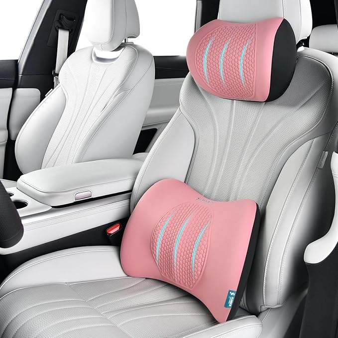 FLORICH Lumbar Support with Car headrest Back Pillow for Chair Headrest Pillow with Gel Memory Foam Massage Point Memory Foam Back Pillow for Office Chair(Light Pink)