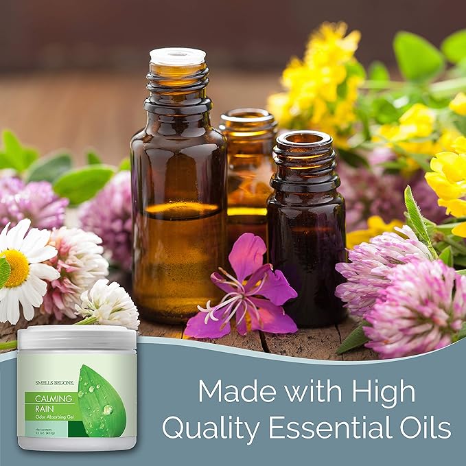 SMELLS BEGONE 15oz Gel Odor Eliminator - Absorb & Remove Tough Odors in Pet Areas, Bathrooms, Basements, Garage, Cars, RVs & Boats - Eliminate Odors Quickly (1-Pack, Calming Rain)