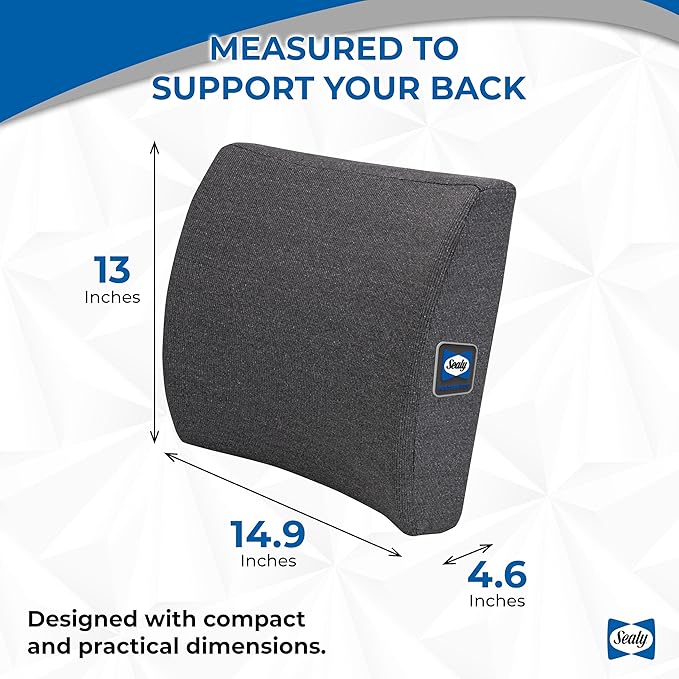 Sealy Memory Foam Lumbar Support Pillow – Ergonomic Back Cushion for Office Chairs and Car Seats, Premium Lower Back Pain Relief and Multi-Purpose Comfort (Gray)