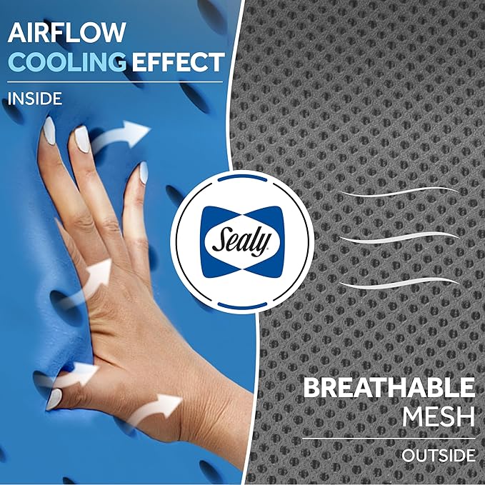 Sealy Ergonomic Car Neck Cushion – Memory Foam Neck Pillow for Car or Office Chair, Travel Neck Pillow,