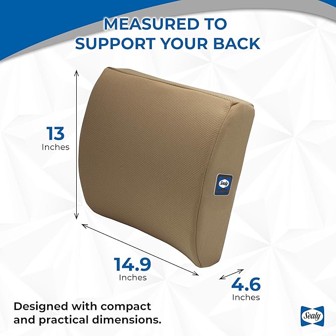 Sealy Memory Foam Lumbar Support Pillow – Ergonomic Back Cushion for Office Chairs and Car Seats, Premium Lower Back Pain Relief and Multi-Purpose Comfort (Brown)