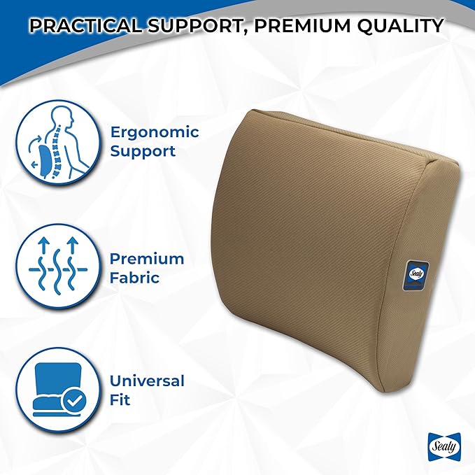 Sealy Memory Foam Lumbar Support Pillow – Ergonomic Back Cushion for Office Chairs and Car Seats, Premium Lower Back Pain Relief and Multi-Purpose Comfort (Brown)