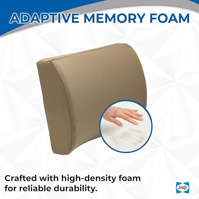 Sealy Memory Foam Lumbar Support Pillow – Ergonomic Back Cushion for Office Chairs and Car Seats, Premium Lower Back Pain Relief and Multi-Purpose Comfort (Brown)