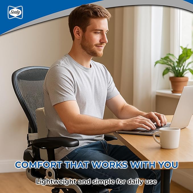 Sealy Memory Foam Lumbar Support Pillow – Ergonomic Back Cushion for Office Chairs and Car Seats, Premium Lower Back Pain Relief and Multi-Purpose Comfort (Brown)