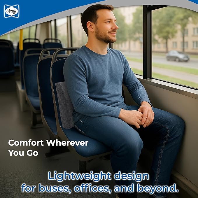 Sealy Memory Foam Lumbar Support Pillow – Ergonomic Back Cushion for Office Chairs and Car Seats, Premium Lower Back Pain Relief and Multi-Purpose Comfort (Gray)